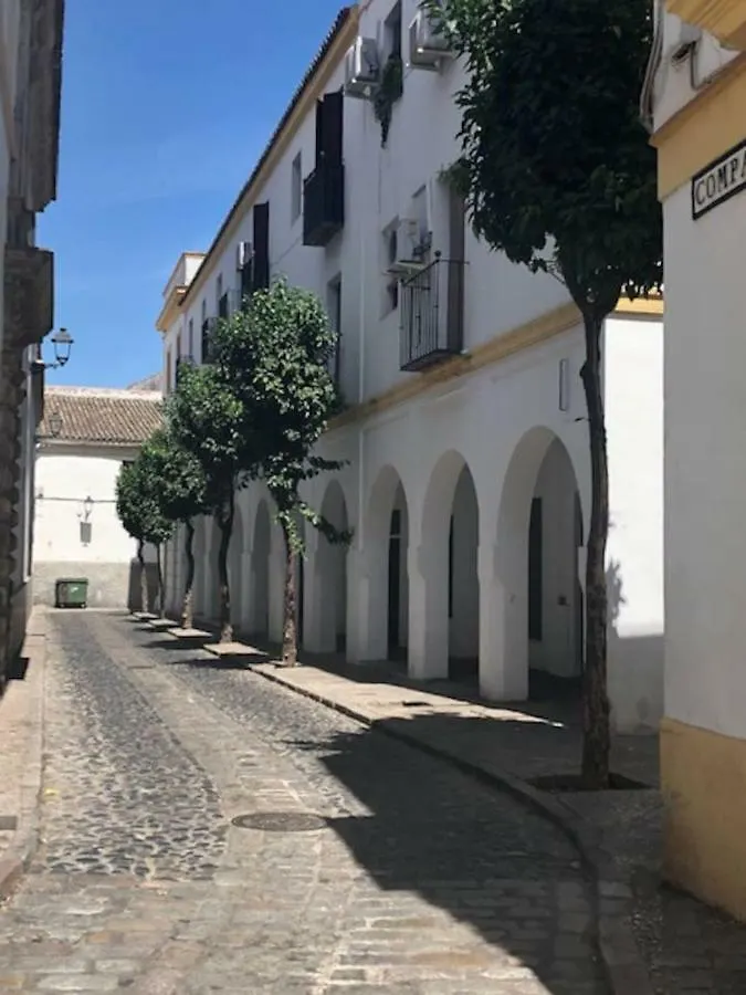 El Rincon De Elena Apartment Jerez de la Frontera Spain