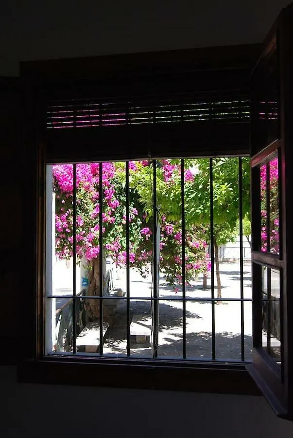 El Rincon De Elena Apartment Jerez de la Frontera